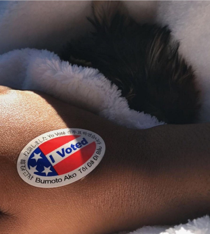 Celebs Who Are Making Their Votes Count 
